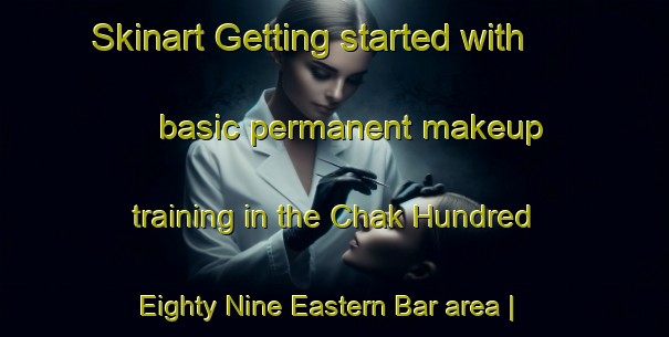 Skinart Getting started with basic permanent makeup training in the Chak Hundred Eighty Nine Eastern Bar area | PermanentmakeupTraining | PermanentmakeupClasses | SkinartTraining-Pakistan